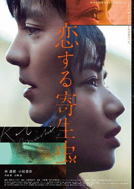 樱之诗 剧场版 封面